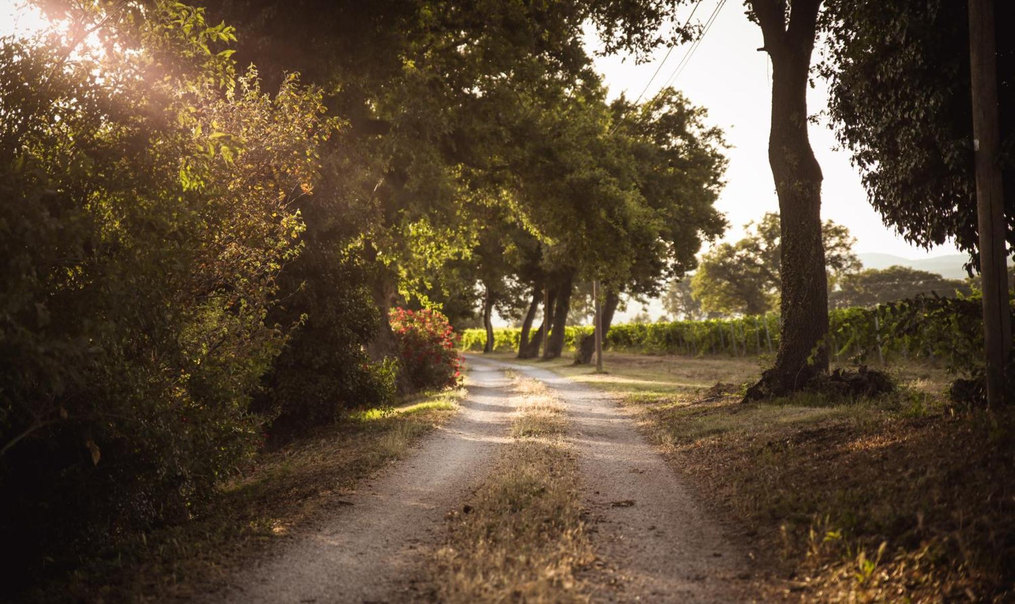 Agriturismo La Vecchia Quercia Montemerano Bagian luar foto